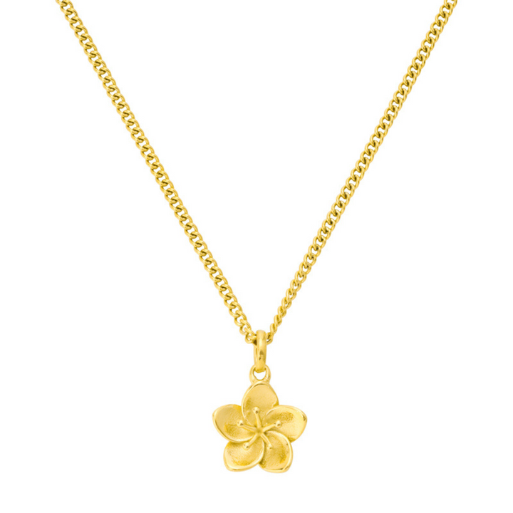 Anna Elegantní Minimalistický Náhrdelník Všestranný